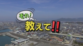 ごちなび