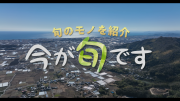 今が旬です