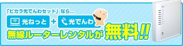 ピカラ光でんわセットなら