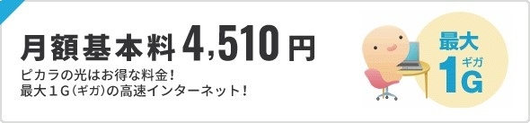 月額基本料4510円