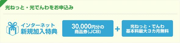 光ねっととでんわのセットで申込